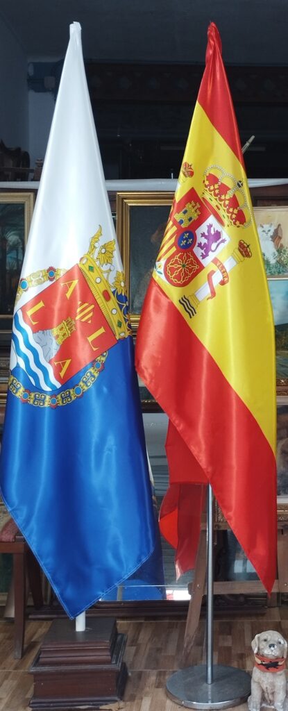 BANDERAS EN POLIESTER