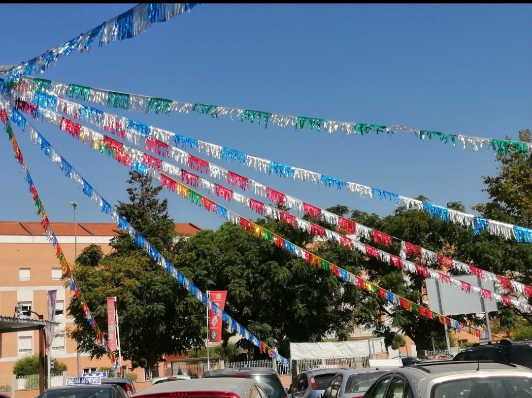 guirnaldas en forma de circulo enganchadas