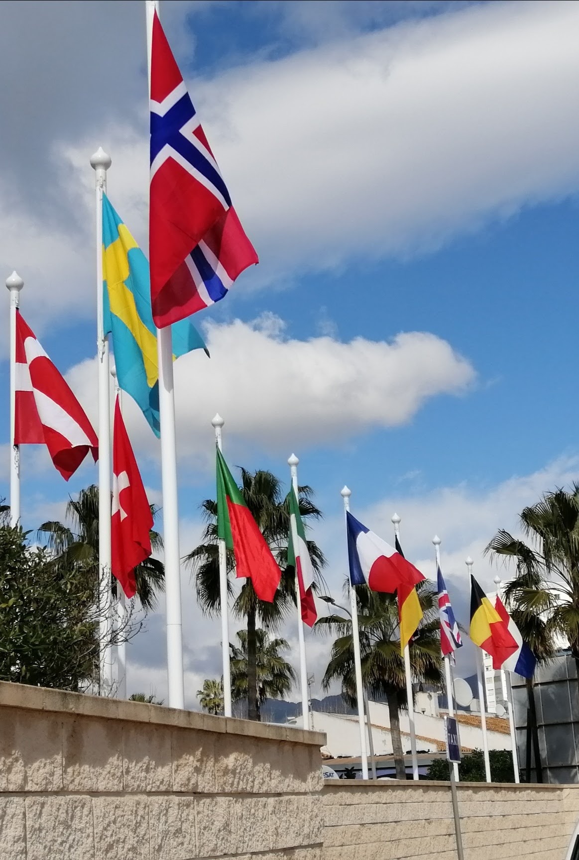 banderas internacionales expuestas en un nugocio