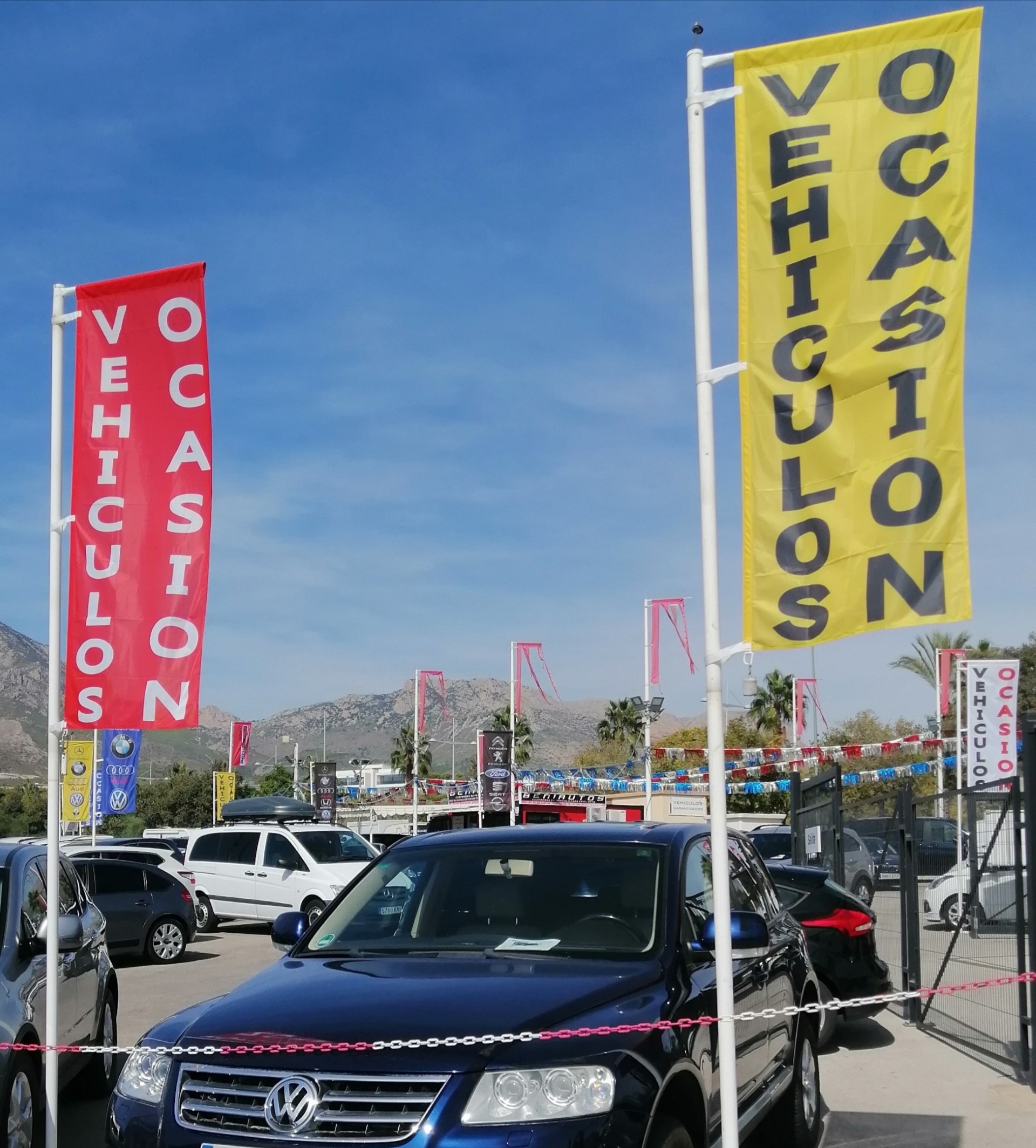 bandera vertical de 300 x 100